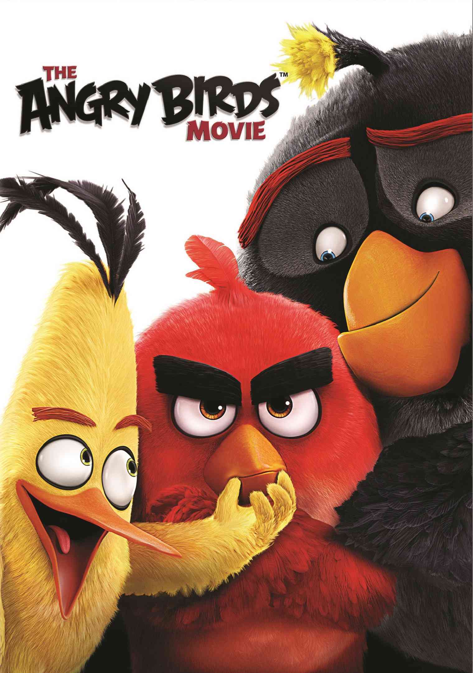 DOWNLOAD The Angry Birds Movie (2016)